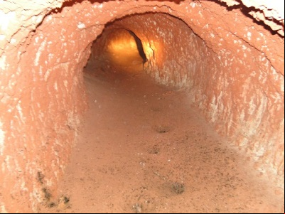 paleoteca