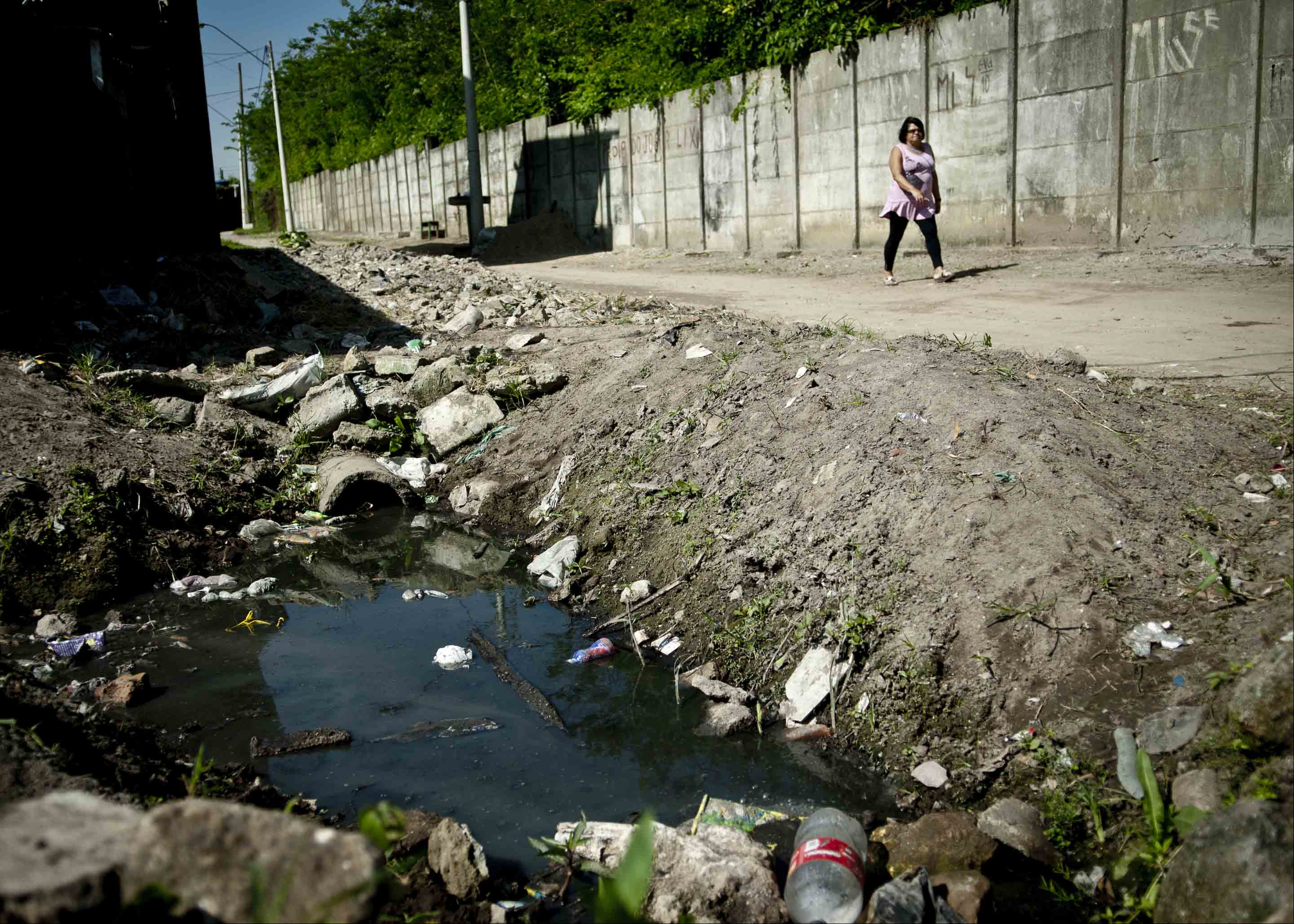 Encontro Nacional pela Mata Atlântica, conhecido como Viva a Mata, ocorre às vésperas do Dia Nacional da Mata Atlântica, em 27 de maio. A situação das bacias e rios do bioma deve entrar nas discussões. A partir d